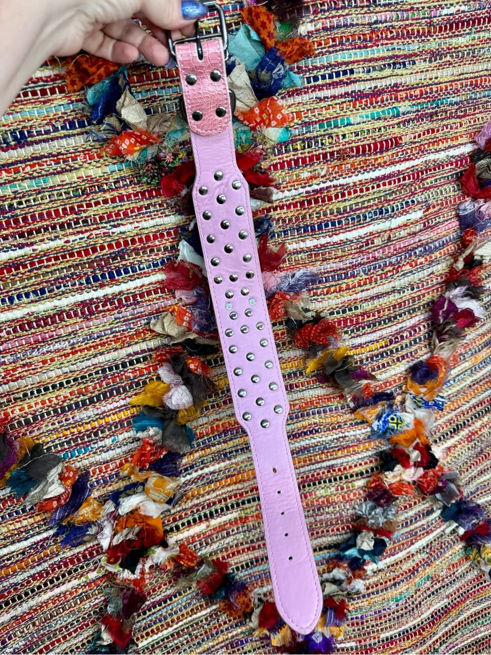 Pink Studded Skull Wide Dog Collar with Spike Accent